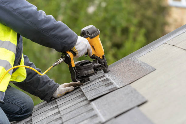 Best Roof Moss and Algae Removal  in Silverthorne, CO